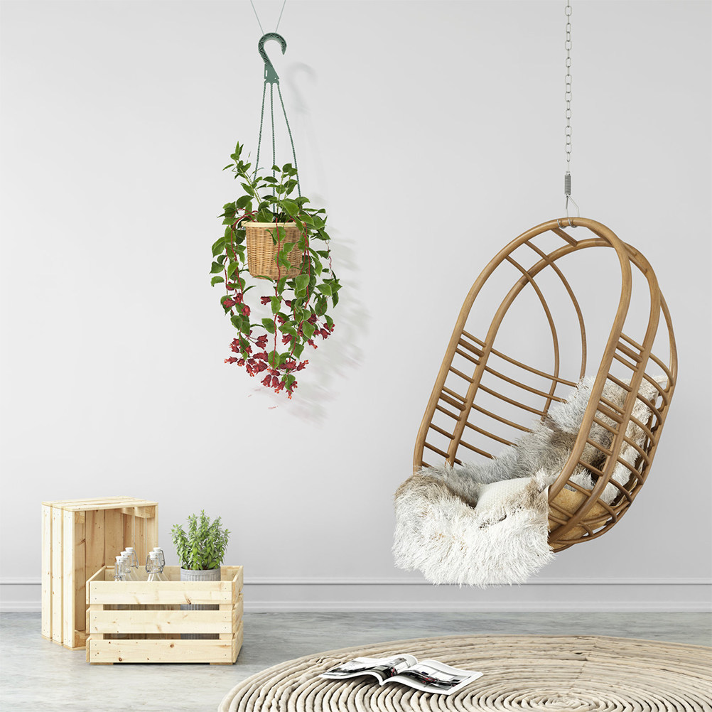 Spider Plant Hanging - Juego de 5 ganchos modernos y