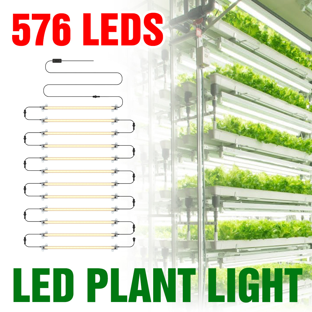 Echeveria Succulent - Tira de luces LED para cultivo,