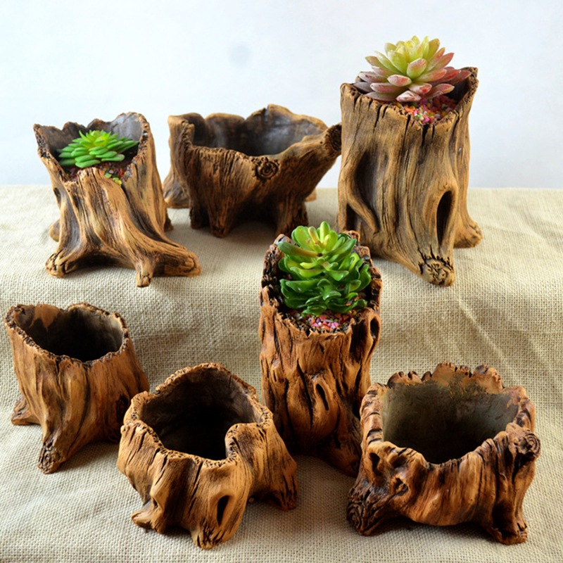 Echeveria Succulent - Estacas de madera de imitación, raíces