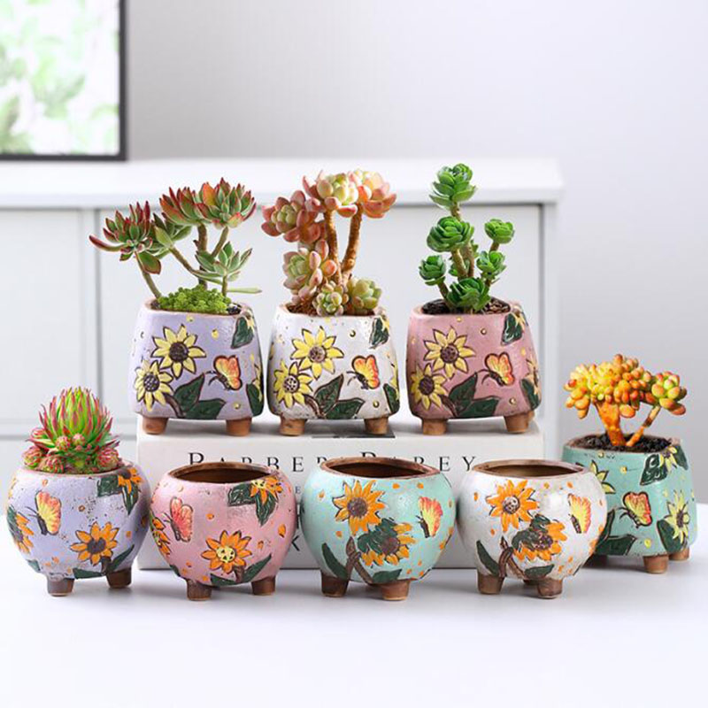 Maceta de plantas suculentas c - Echeveria Succulent reseña y precio